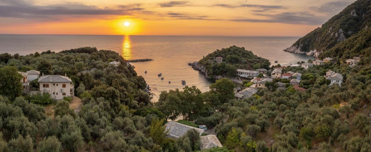 Olive House In Damouchari With A Sea View - Delicious Houses Экстерьер фото